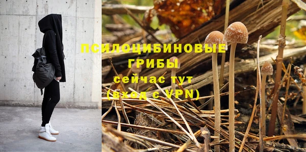 крисы Алексеевка