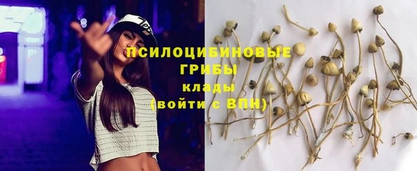 стафф Алзамай