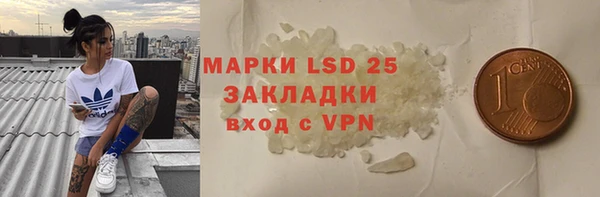 стафф Алзамай