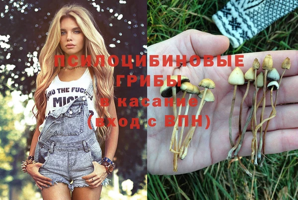 крисы Алексеевка