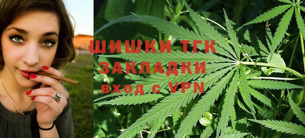 спайс Алексин