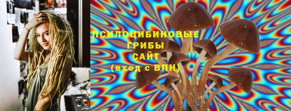 стафф Алзамай