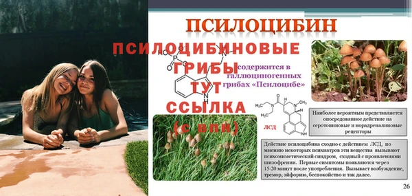 спайс Алексин