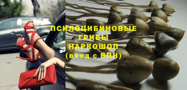стафф Алзамай