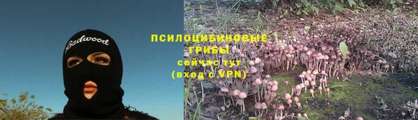крисы Алексеевка